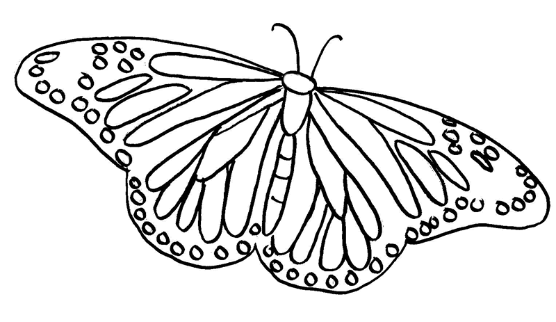 着色页: 蝴蝶 (动物) #15785 - 免费可打印着色页
