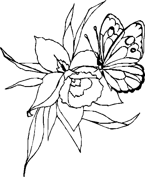 着色页: 蝴蝶 (动物) #15790 - 免费可打印着色页