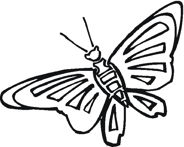 着色页: 蝴蝶 (动物) #15813 - 免费可打印着色页