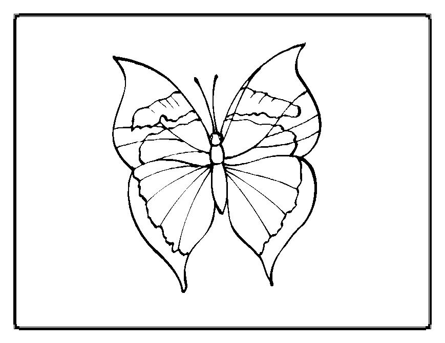 着色页: 蝴蝶 (动物) #15822 - 免费可打印着色页