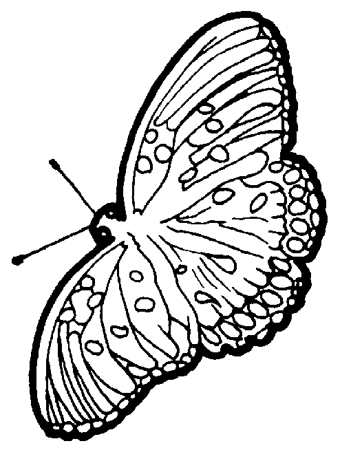 着色页: 蝴蝶 (动物) #15837 - 免费可打印着色页