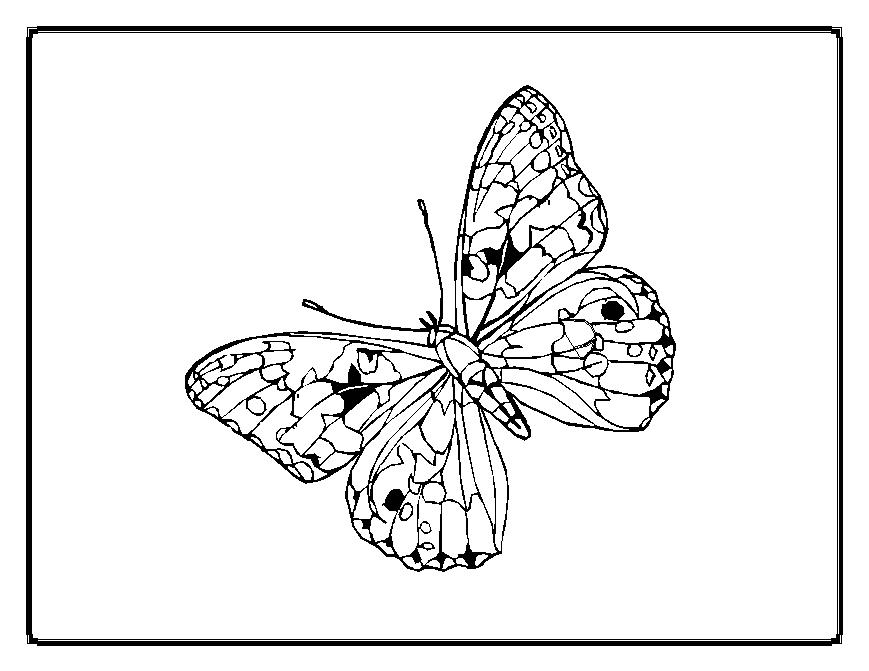 着色页: 蝴蝶 (动物) #15838 - 免费可打印着色页