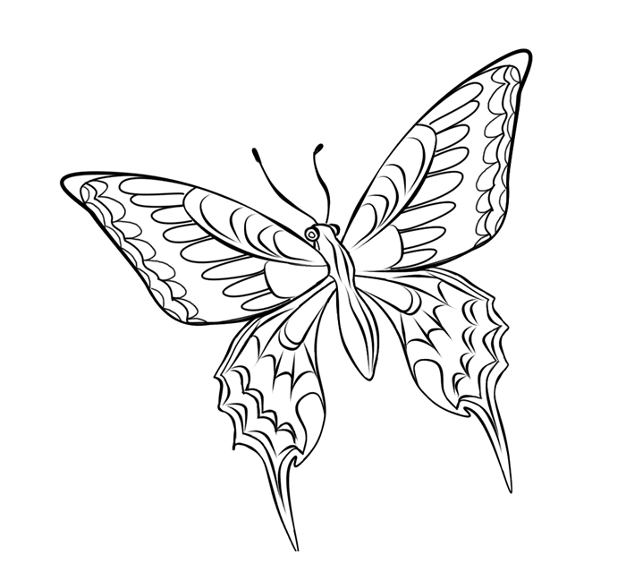 着色页: 蝴蝶 (动物) #15846 - 免费可打印着色页