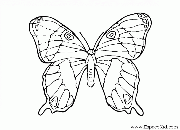 着色页: 蝴蝶 (动物) #15857 - 免费可打印着色页