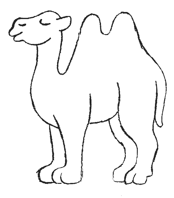 着色页: 骆驼 (动物) #1664 - 免费可打印着色页