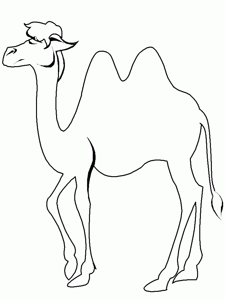 着色页: 骆驼 (动物) #1674 - 免费可打印着色页
