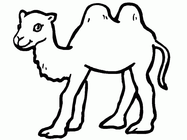着色页: 骆驼 (动物) #1681 - 免费可打印着色页