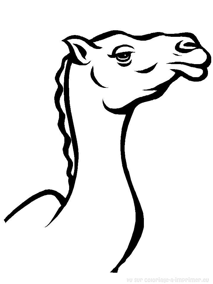 着色页: 骆驼 (动物) #1685 - 免费可打印着色页