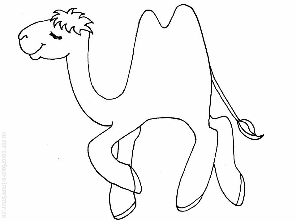 着色页: 骆驼 (动物) #1688 - 免费可打印着色页