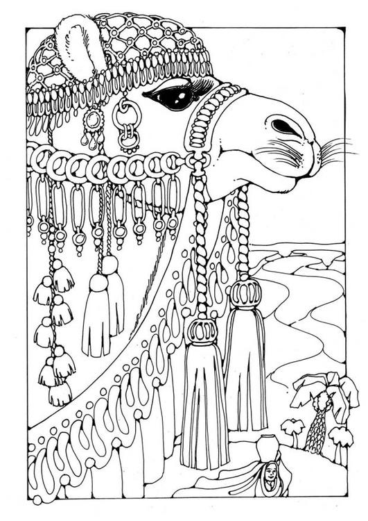 着色页: 骆驼 (动物) #1694 - 免费可打印着色页