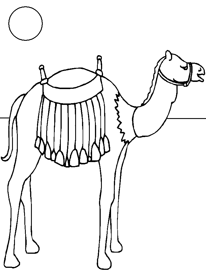 着色页: 骆驼 (动物) #1699 - 免费可打印着色页