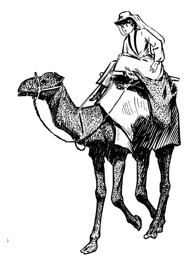 着色页: 骆驼 (动物) #1705 - 免费可打印着色页