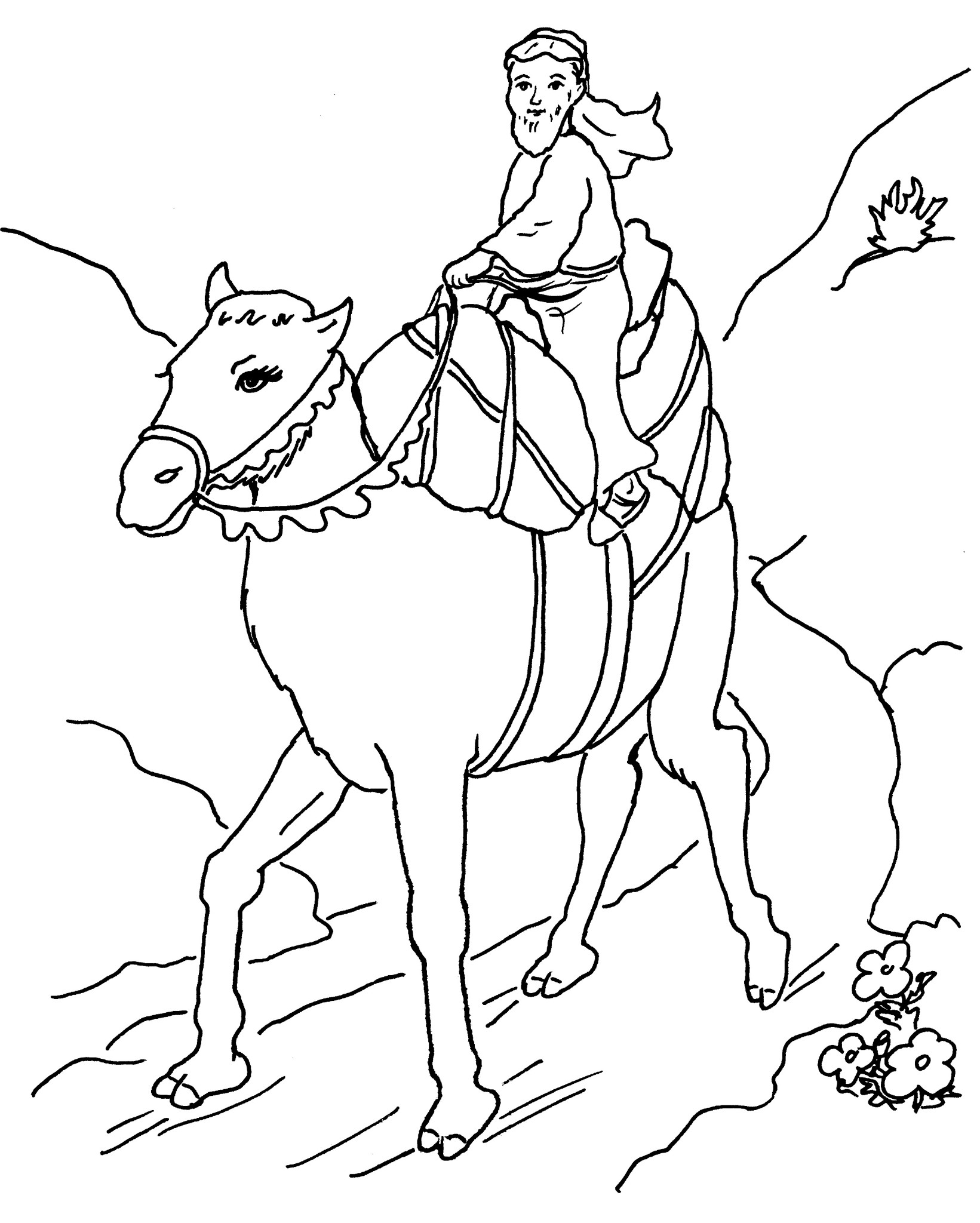 着色页: 骆驼 (动物) #1709 - 免费可打印着色页