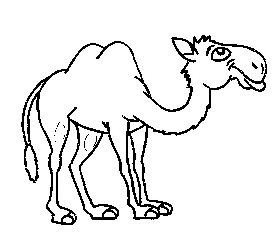 着色页: 骆驼 (动物) #1719 - 免费可打印着色页