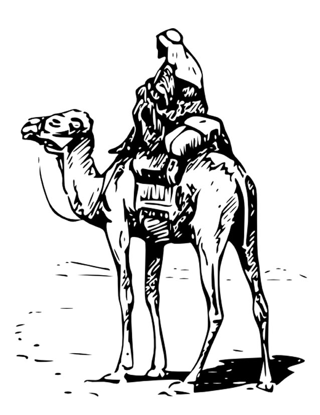 着色页: 骆驼 (动物) #1729 - 免费可打印着色页