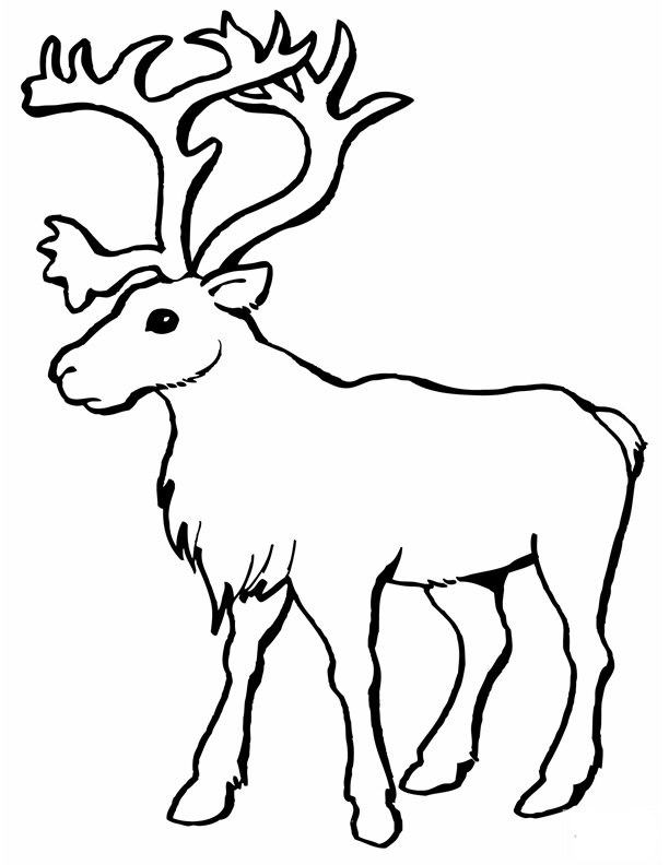 着色页: 驯鹿 (动物) #1540 - 免费可打印着色页
