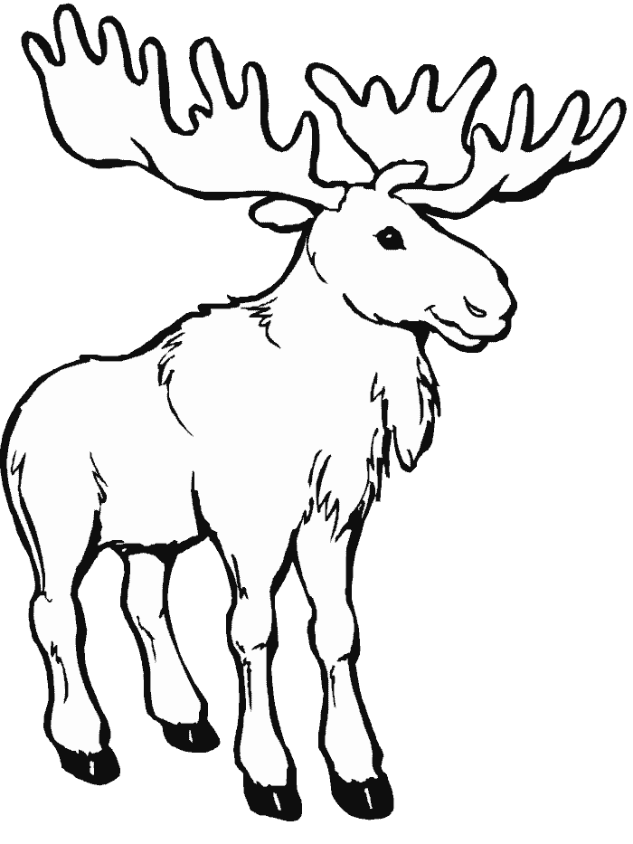 着色页: 驯鹿 (动物) #1542 - 免费可打印着色页