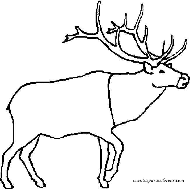 着色页: 驯鹿 (动物) #1543 - 免费可打印着色页