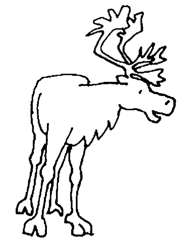 着色页: 驯鹿 (动物) #1549 - 免费可打印着色页