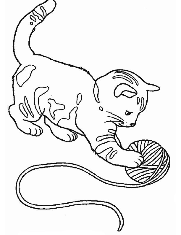 着色页: 猫 (动物) #1768 - 免费可打印着色页