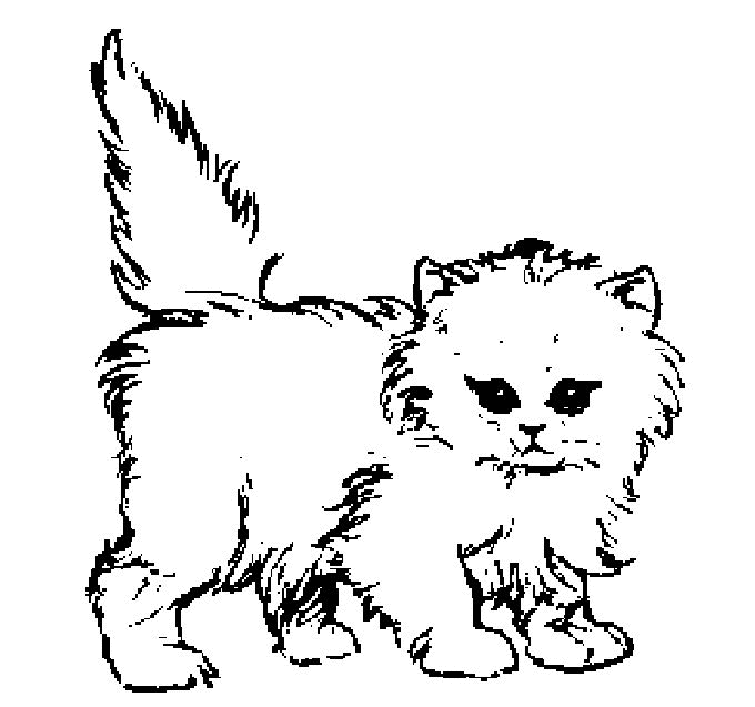着色页: 猫 (动物) #1770 - 免费可打印着色页