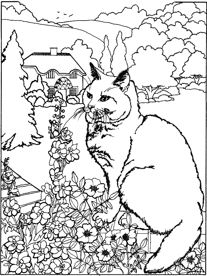 着色页: 猫 (动物) #1790 - 免费可打印着色页