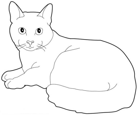 着色页: 猫 (动物) #1793 - 免费可打印着色页