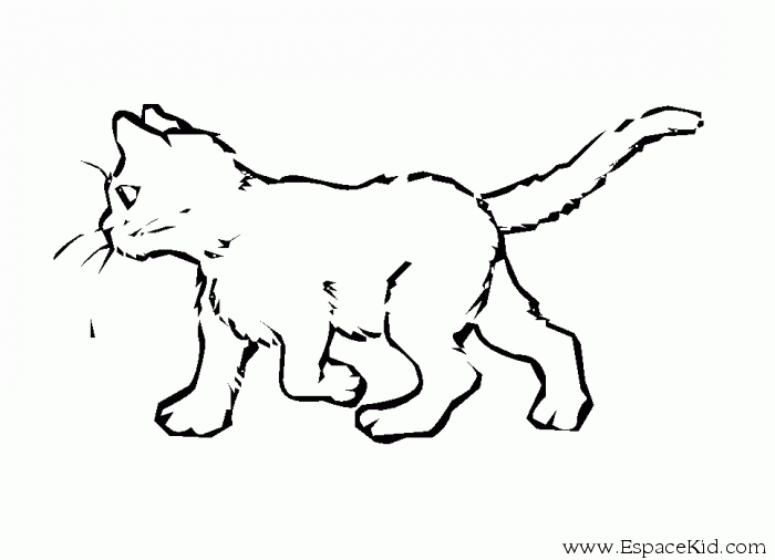 着色页: 猫 (动物) #1812 - 免费可打印着色页