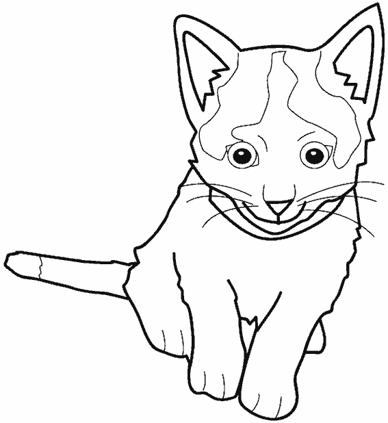 着色页: 猫 (动物) #1814 - 免费可打印着色页