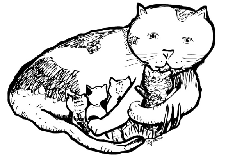 着色页: 猫 (动物) #1821 - 免费可打印着色页