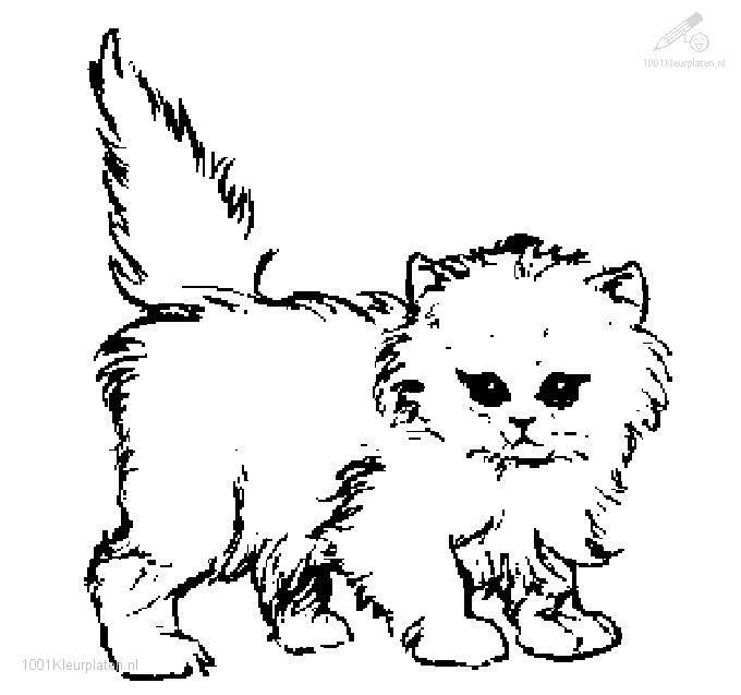 着色页: 猫 (动物) #1832 - 免费可打印着色页