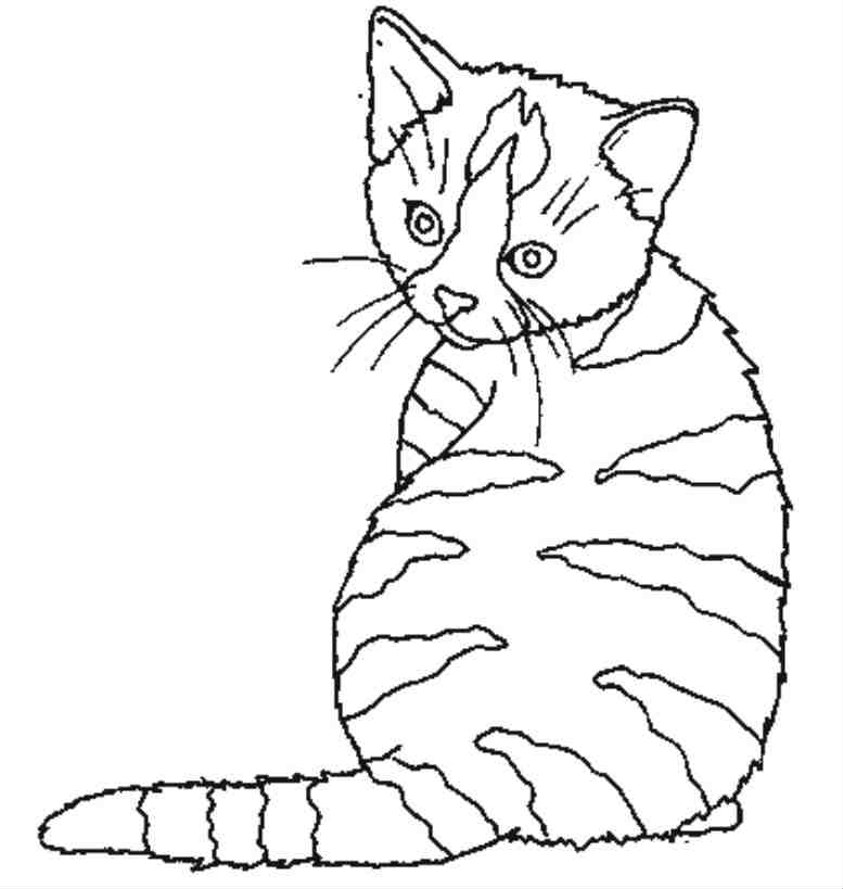 着色页: 猫 (动物) #1843 - 免费可打印着色页