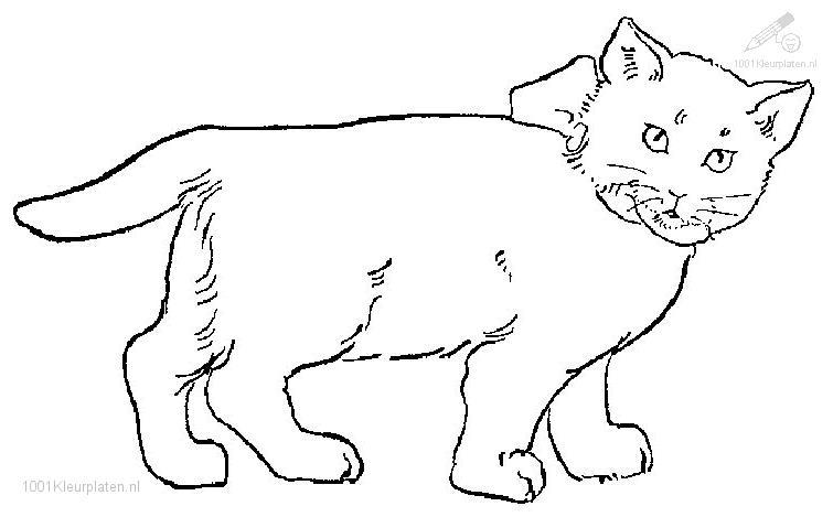 着色页: 猫 (动物) #1882 - 免费可打印着色页