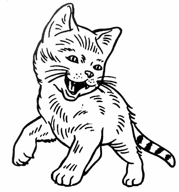 着色页: 猫 (动物) #1904 - 免费可打印着色页