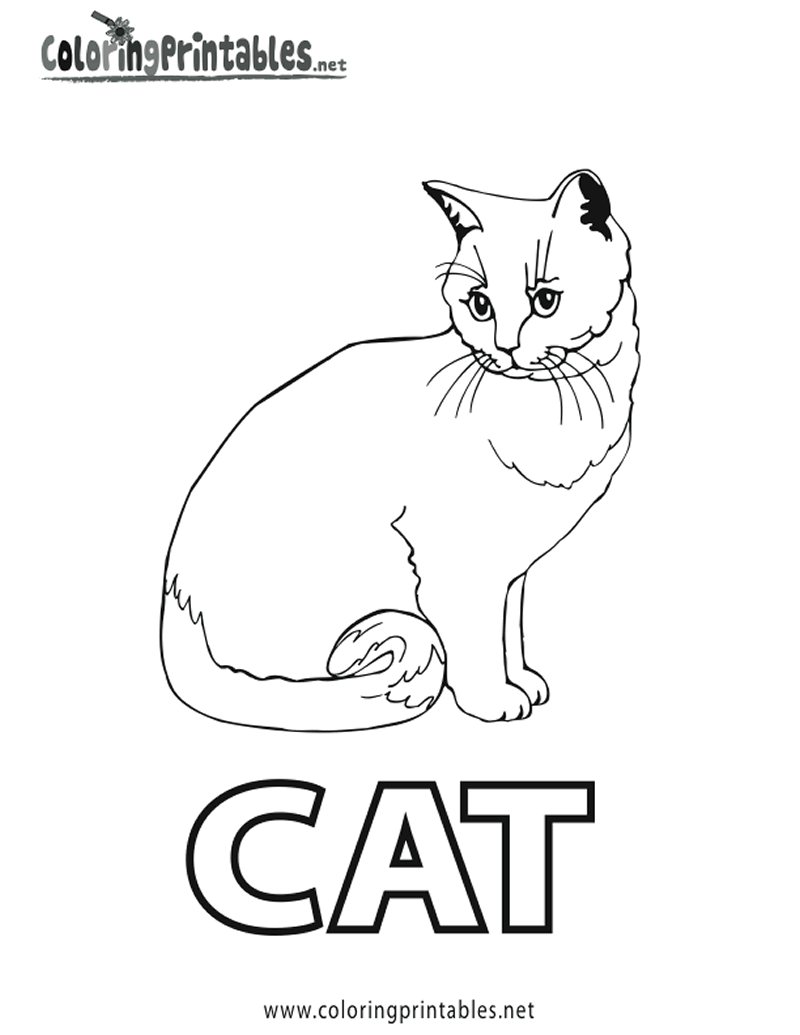 着色页: 猫 (动物) #1916 - 免费可打印着色页