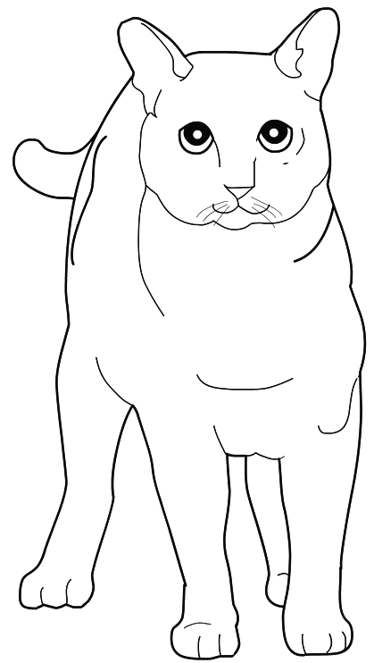 着色页: 猫 (动物) #1935 - 免费可打印着色页
