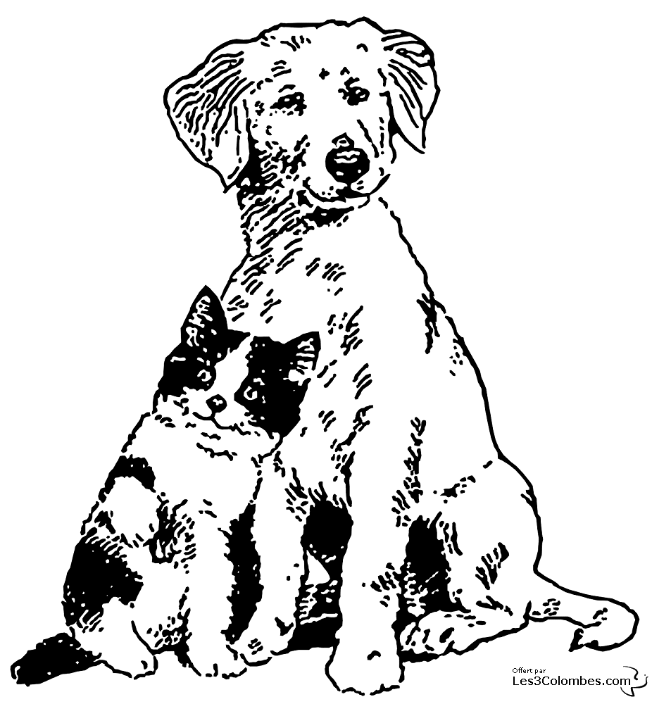 着色页: 猫 (动物) #1944 - 免费可打印着色页
