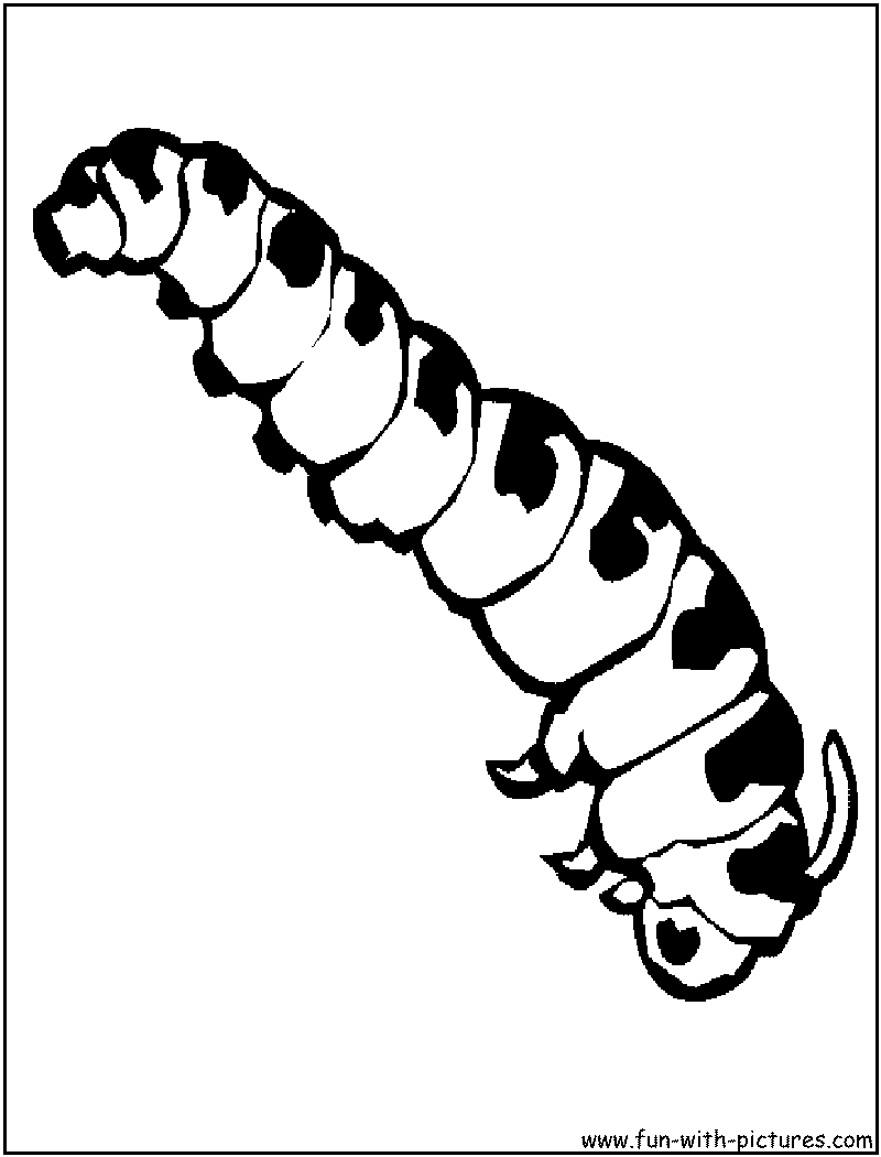 着色页: 毛虫 (动物) #18238 - 免费可打印着色页