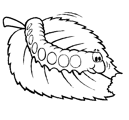 着色页: 毛虫 (动物) #18263 - 免费可打印着色页