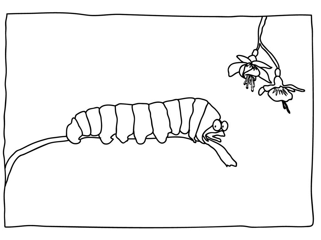 着色页: 毛虫 (动物) #18363 - 免费可打印着色页