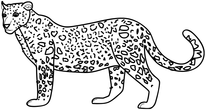 着色页: 猎豹 (动物) #7869 - 免费可打印着色页