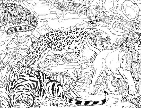 着色页: 猎豹 (动物) #7885 - 免费可打印着色页