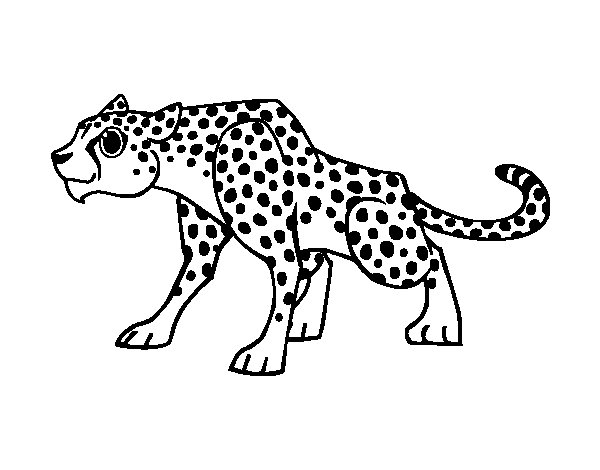 着色页: 猎豹 (动物) #7892 - 免费可打印着色页