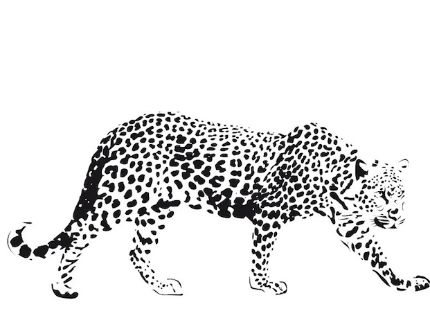 着色页: 猎豹 (动物) #7901 - 免费可打印着色页