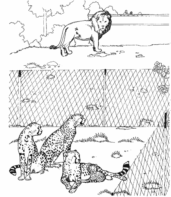 着色页: 猎豹 (动物) #7925 - 免费可打印着色页