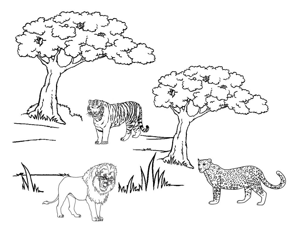 着色页: 猎豹 (动物) #8005 - 免费可打印着色页