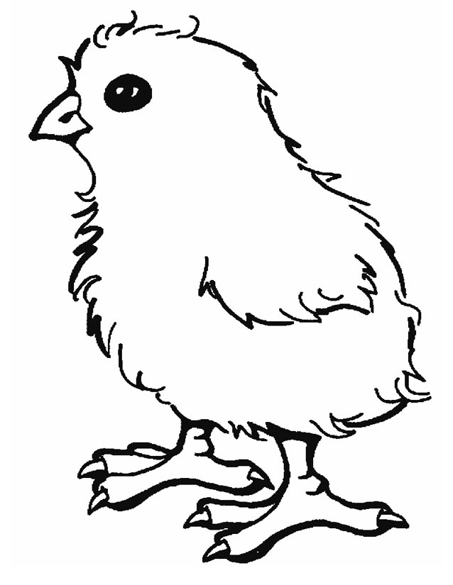 着色页: 小鸡 (动物) #15311 - 免费可打印着色页