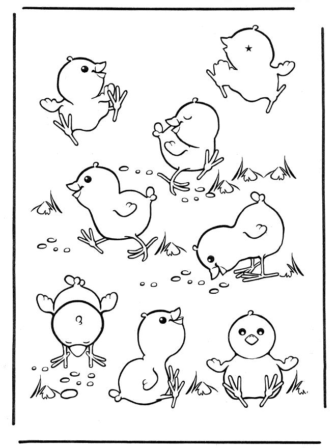 着色页: 小鸡 (动物) #15326 - 免费可打印着色页