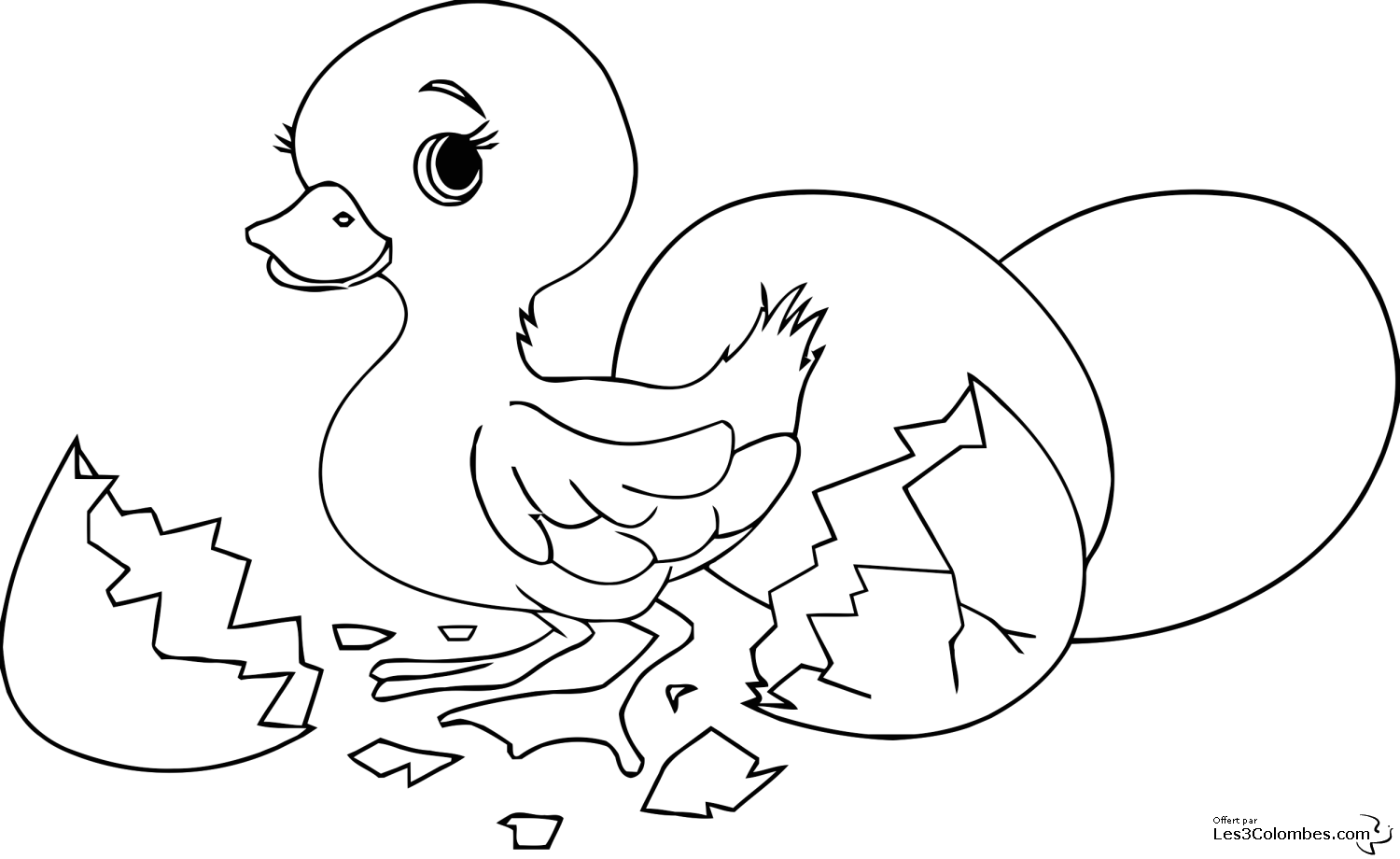着色页: 小鸡 (动物) #15339 - 免费可打印着色页