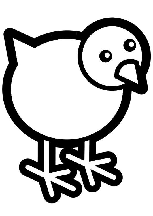 着色页: 小鸡 (动物) #15387 - 免费可打印着色页